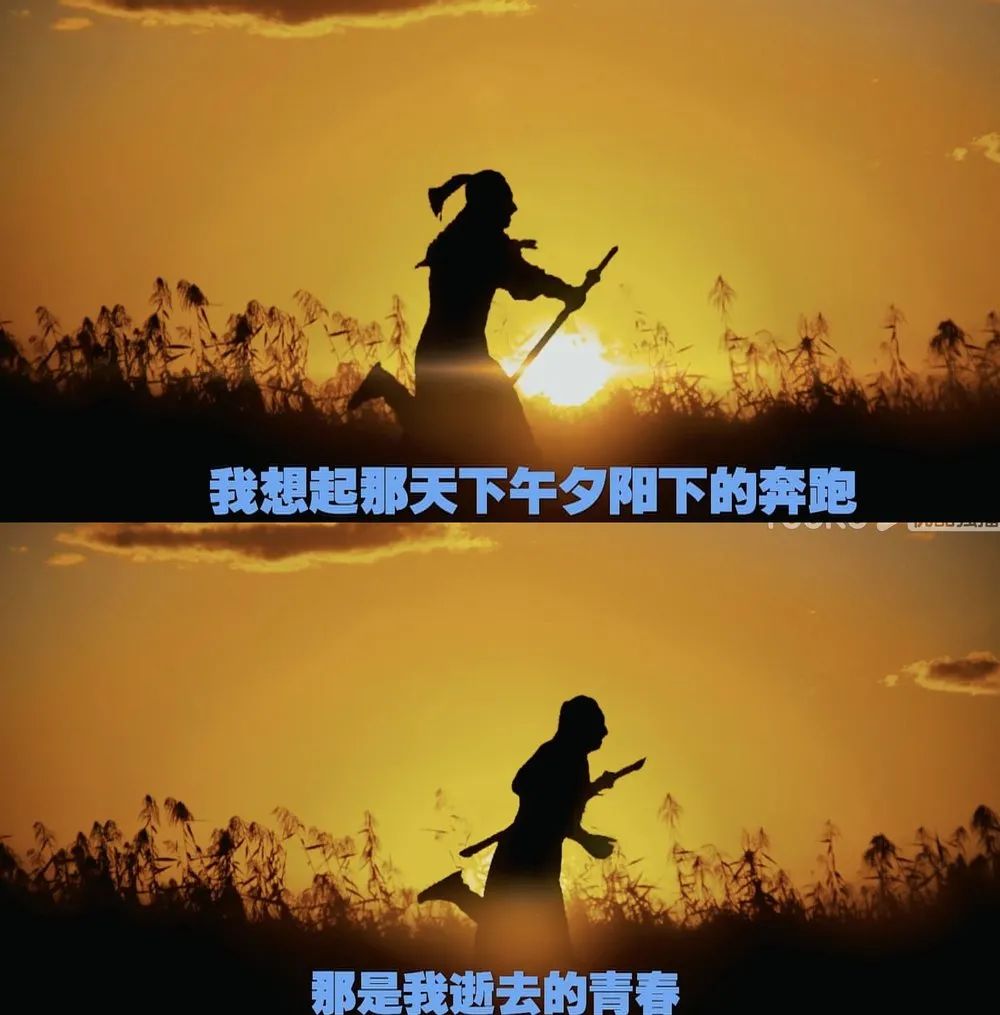 王大锤子_万万想不到王大锤_王大锤bgm