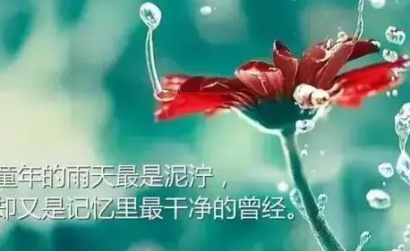 爱子动画数码宝龙-数码宝龙：承载一代人记忆的经典动画，教会我们勇气、友情与责任
