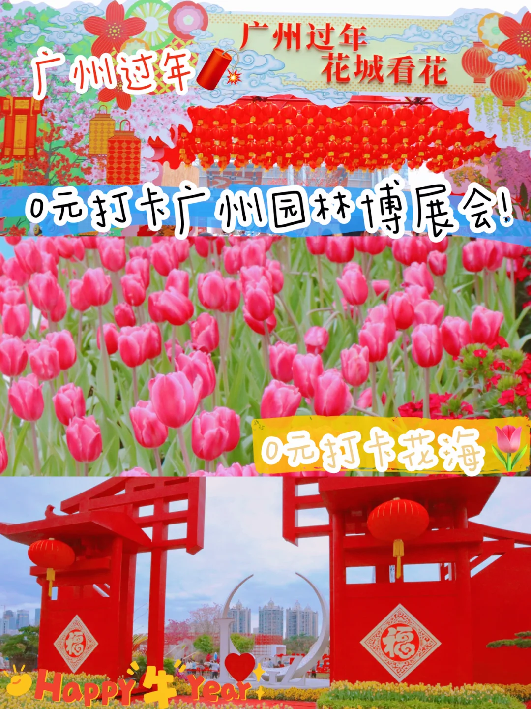 新飞飞冒险点数买什么_飞飞冒险吧_飞飞冒险岛怎么样
