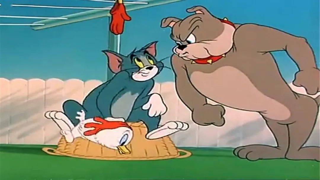 嗯汤姆猫_汤姆猫的徒弟_汤姆猫训练营视频