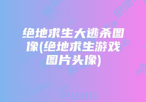 绝地求生插件_绝地求生无后坐力插件_绝地求生lite辅助