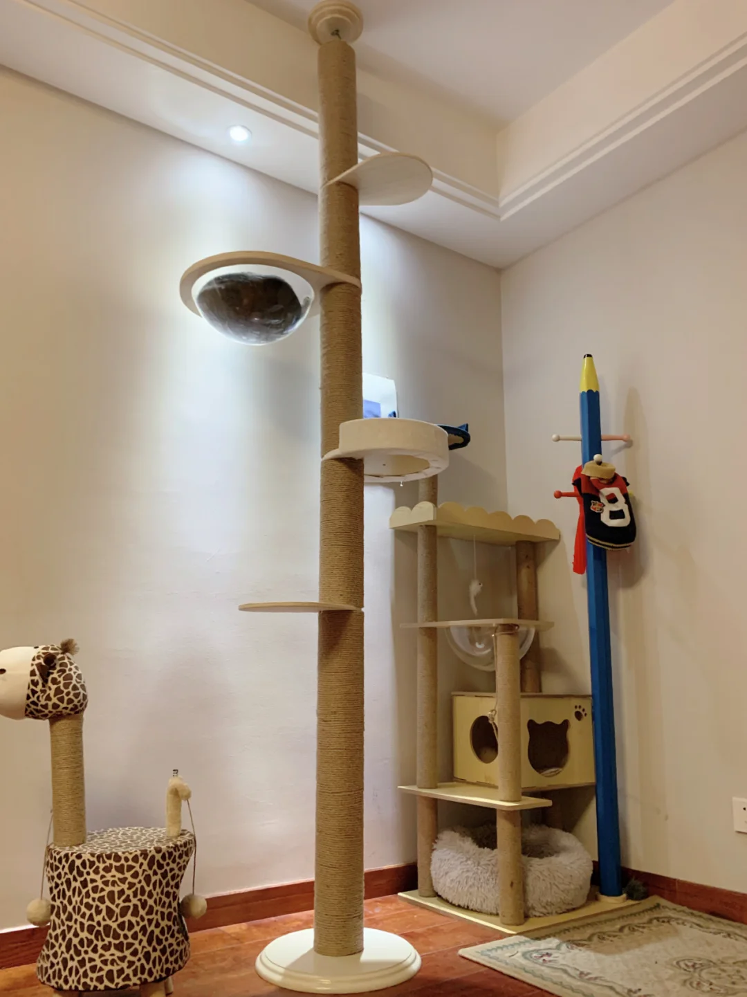 天猫商城天装战队护星者玩具_天猫商城天装战队护星者玩具_天猫商城天装战队护星者玩具