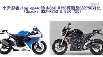 gsrxy,搜索引擎优化（SEO）在GSRXY项目中的应用与策略