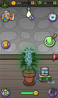 经营解密游戏推荐安卓