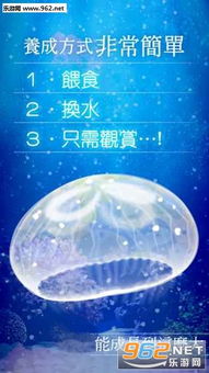 安卓治愈系免费游戏,盘点安卓免费治愈系游戏精选