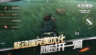 吃鸡游戏安卓苹果,安卓与苹果平台吃鸡游戏对决