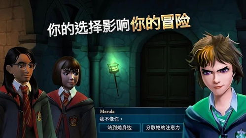 harry potter 游戏安卓,奇幻冒险等你开启